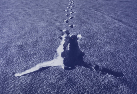 Antony Gormley "Snowfall" Signed print