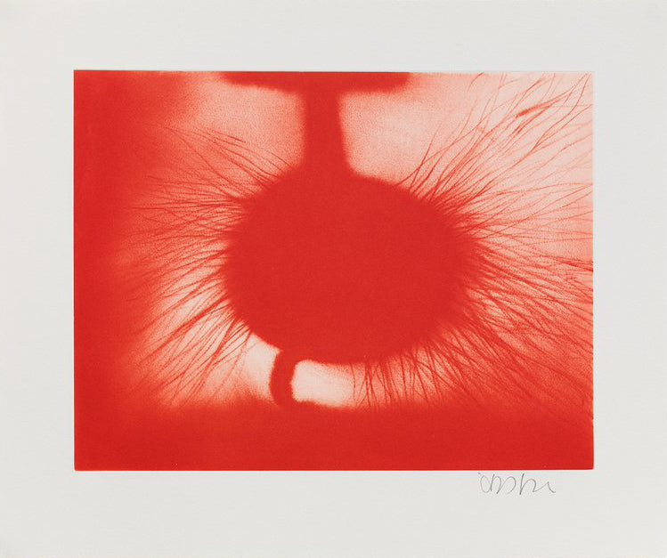 Anish Kapoor "Untitled" (Red) 2014