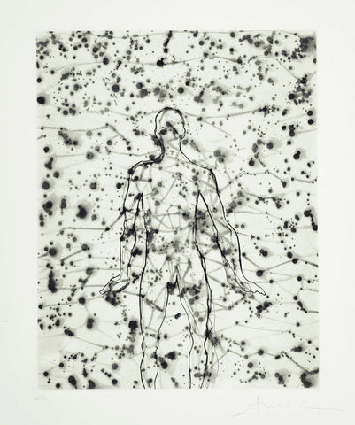 Antony Gormley "Domain" 2000