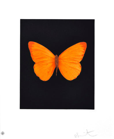 Damien Hirst Hope Butterfly Etching