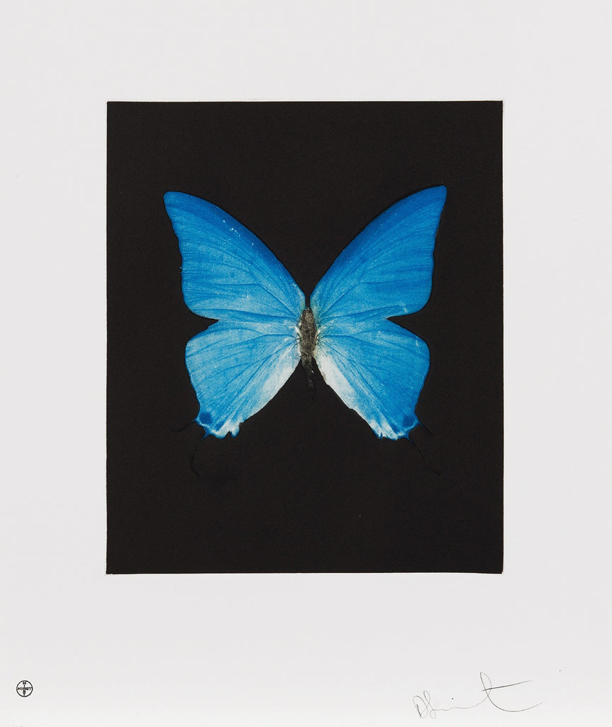 Damien Hirst "Providence" Butterfly Etching