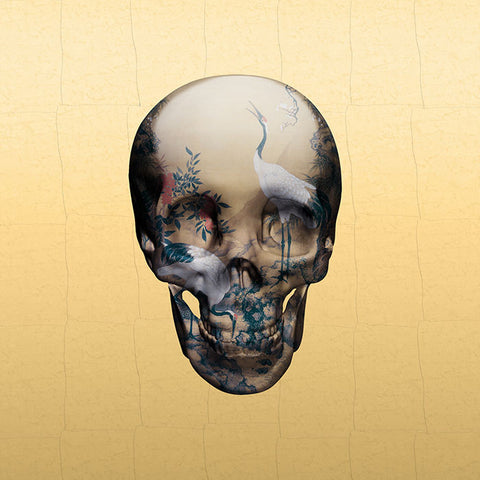 Magnus Gjoen "You Only Die Once"