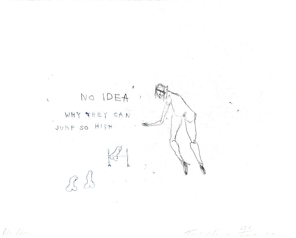 Tracey Emin "No Idea"