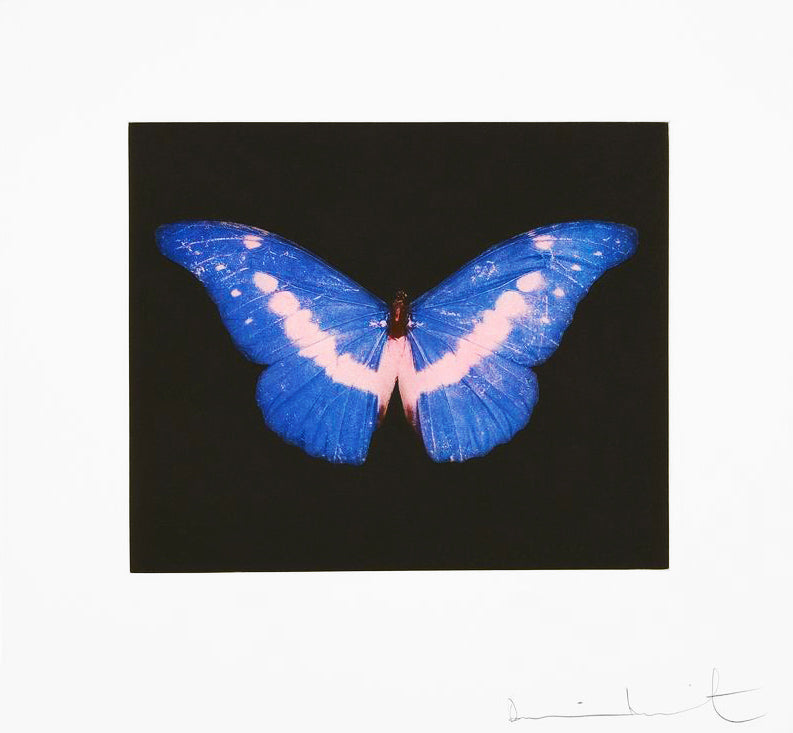 Damien Hirst "To Belong" Butterfly Etching